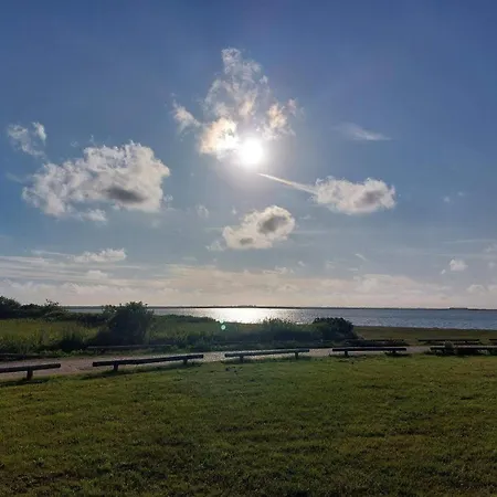 5 Person In Хеммет