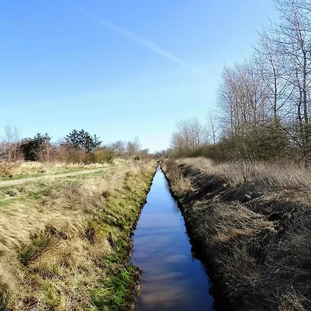 5 Person In Хеммет